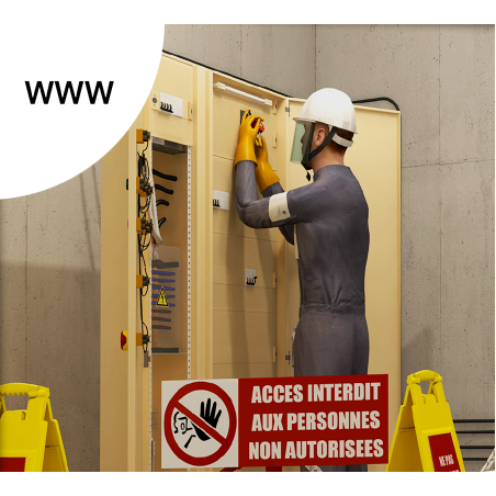 Licence e-learning : "Electrical authorisations - B1(V) / B2(V) / BR / BC"